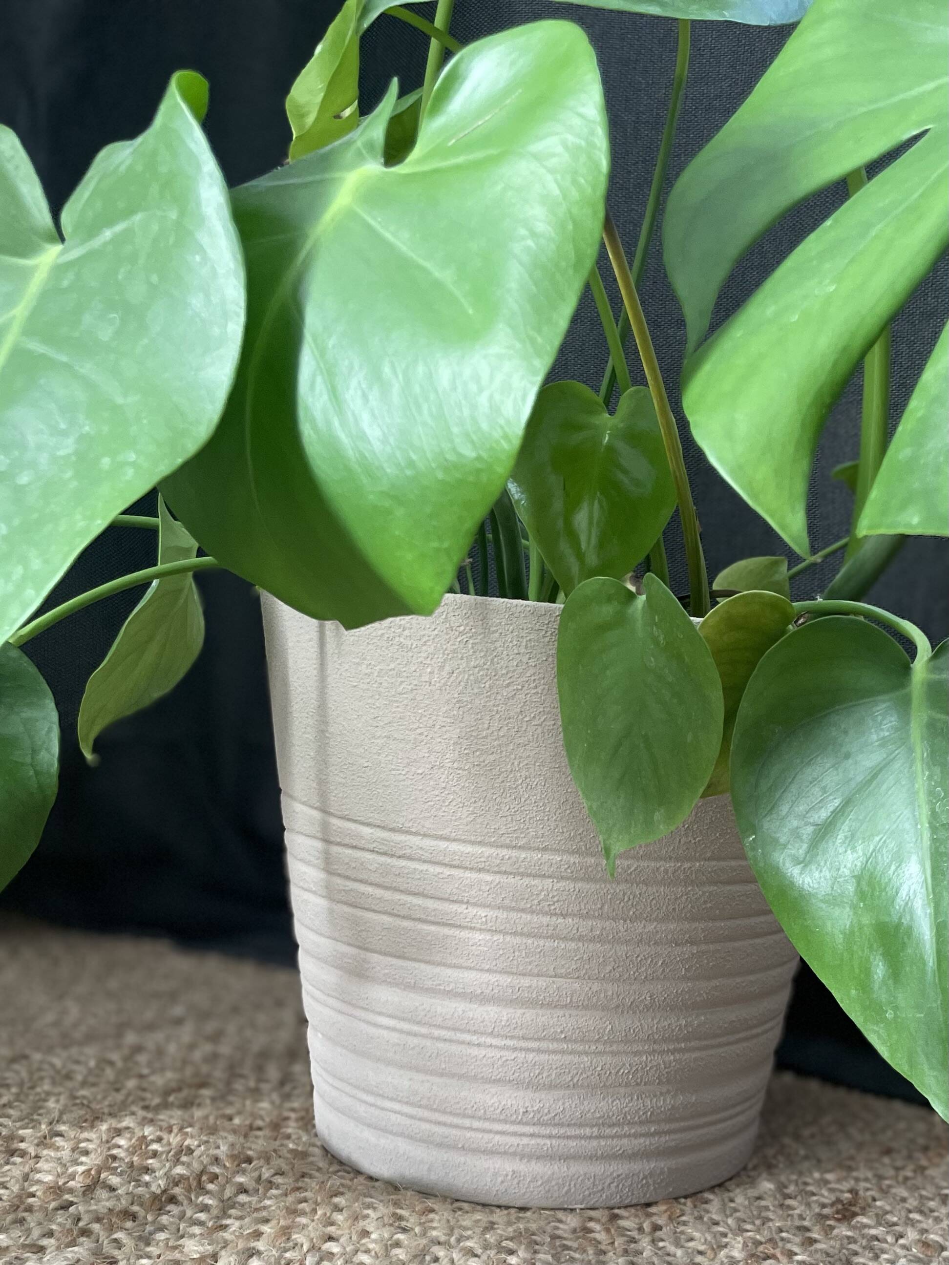 Textured beige cache-pot