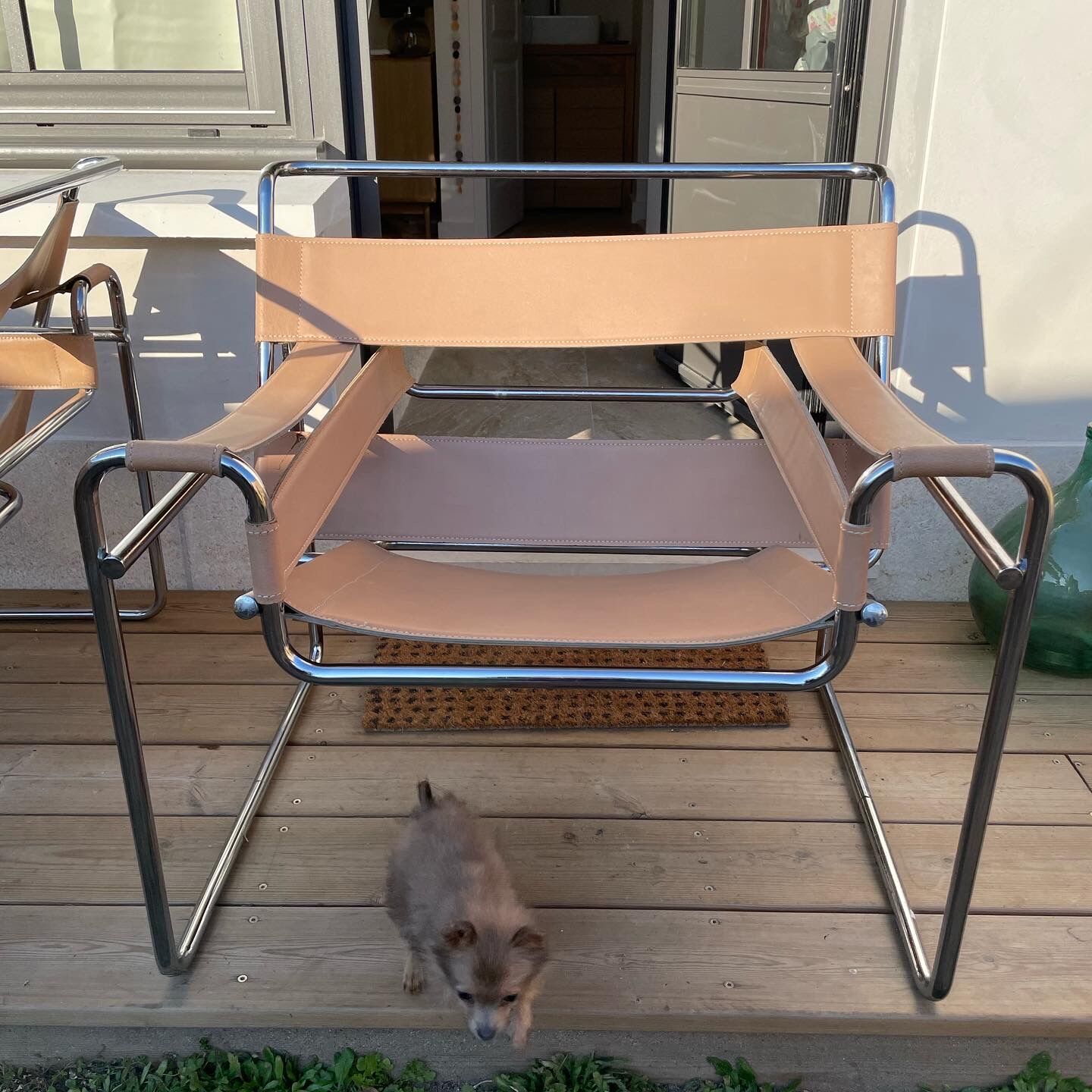 Pair of Wassily armchairs by Marcel Breuer