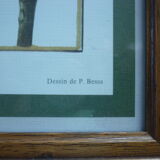 2 reproductions of botanical drawings by P. Bessa