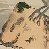 Ornithological board "Le Balbusard - Le Jean-le-Blanc" Buffon 1838