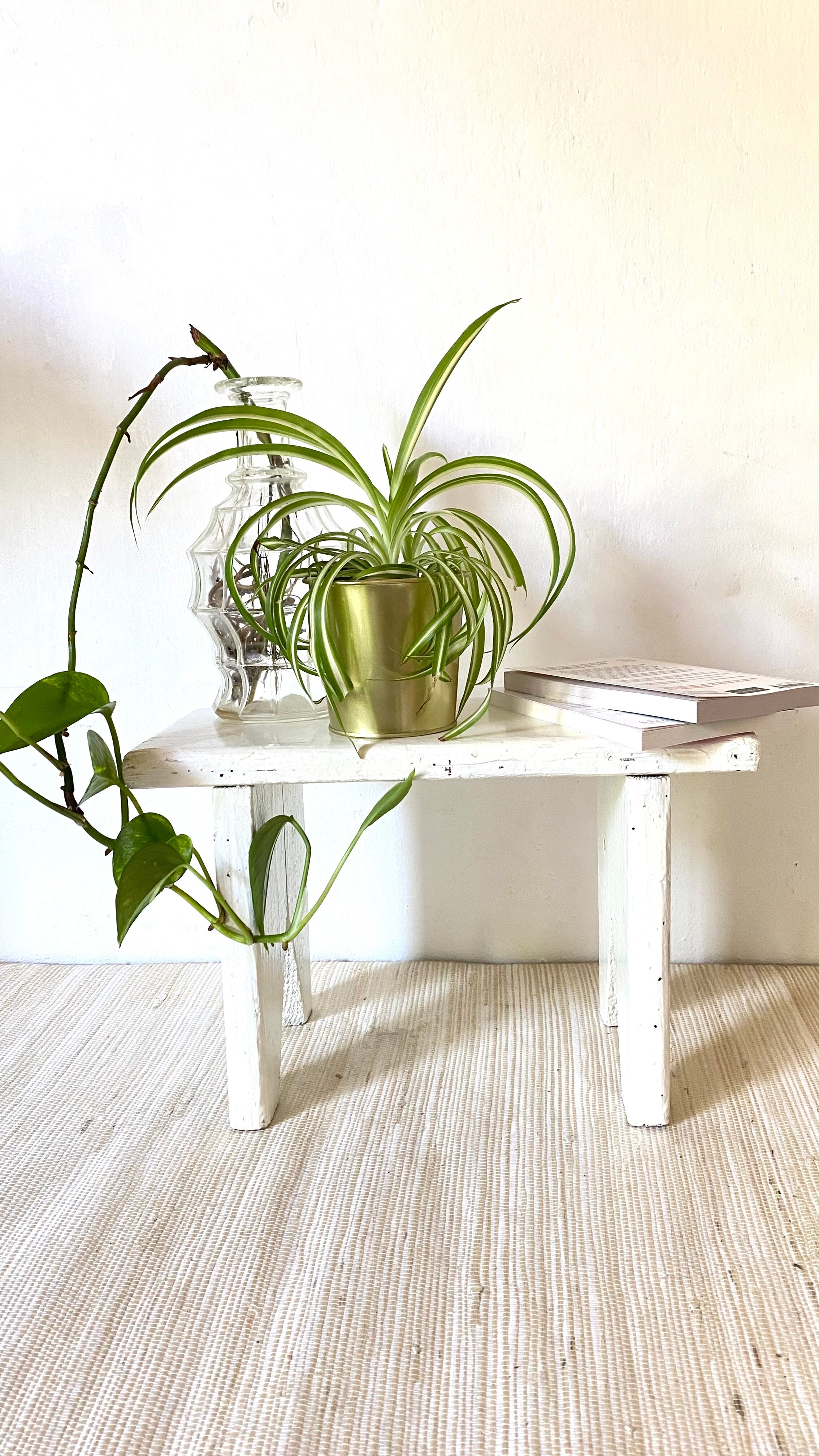 Wooden stool, plant holder