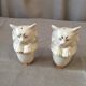 Panier avec saliere poivriere en forme de chat porcelaine de france