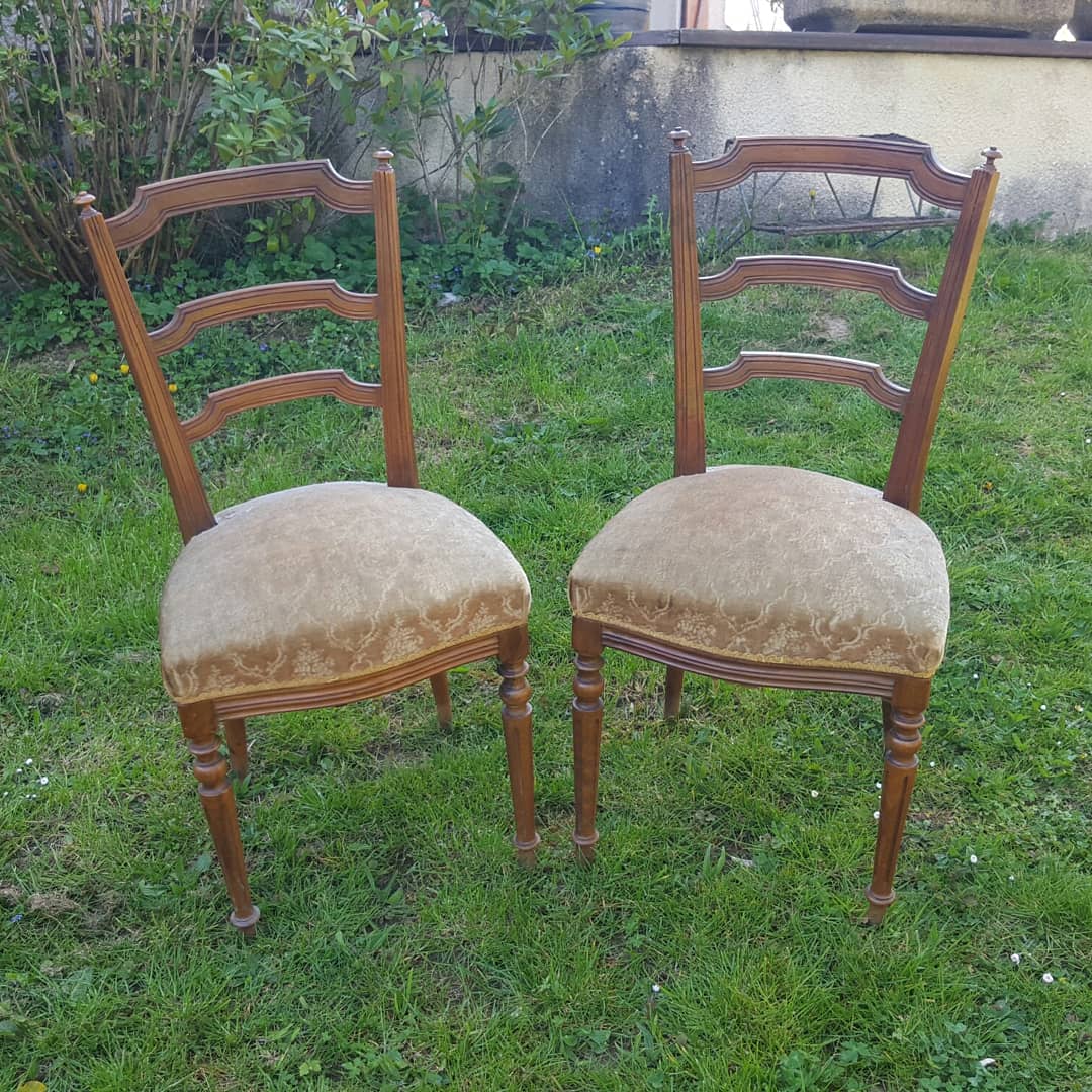 Pair of Napoleon III style chairs