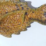 Fish Enamels of the Cyclops