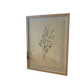 Thyme plant poster