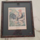 Série de 5 gravures encadrées