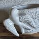 Bird planter