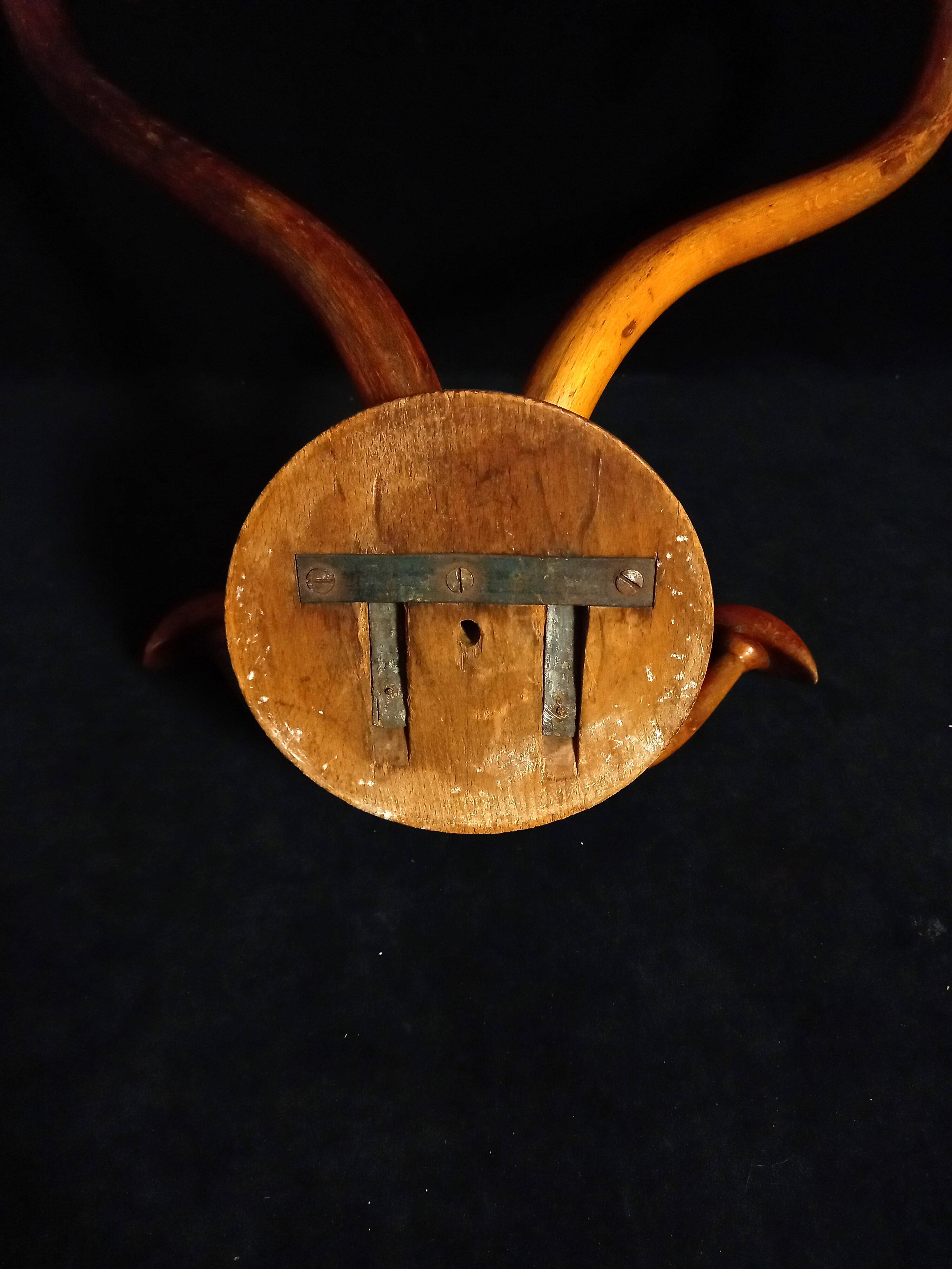 Double Art Nouveau Coat Hook in Bent Wood from Thonet