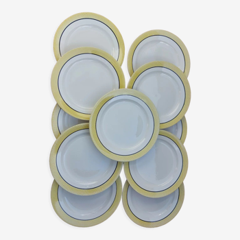 Flat plates Salins