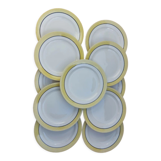 Flat plates Salins