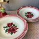 Plates Digoin Cibon Ironstone floral decoration