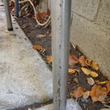 Vintage yellow formica table 60