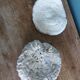 corail champignon Fungia et Mussismilia corail cerveau