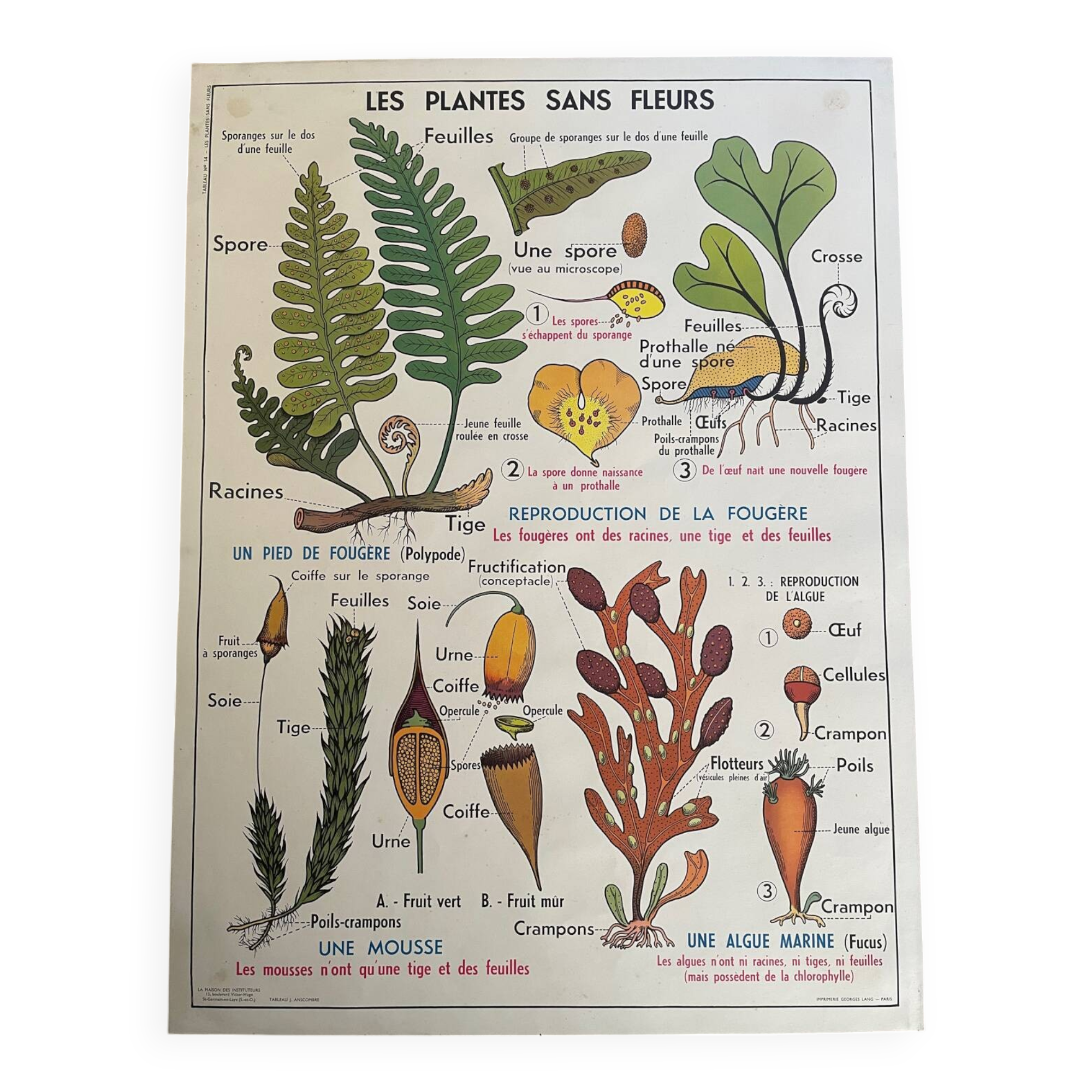 Ancienne affiche pédagogique scolaire, école
