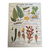 Old school educational poster, school