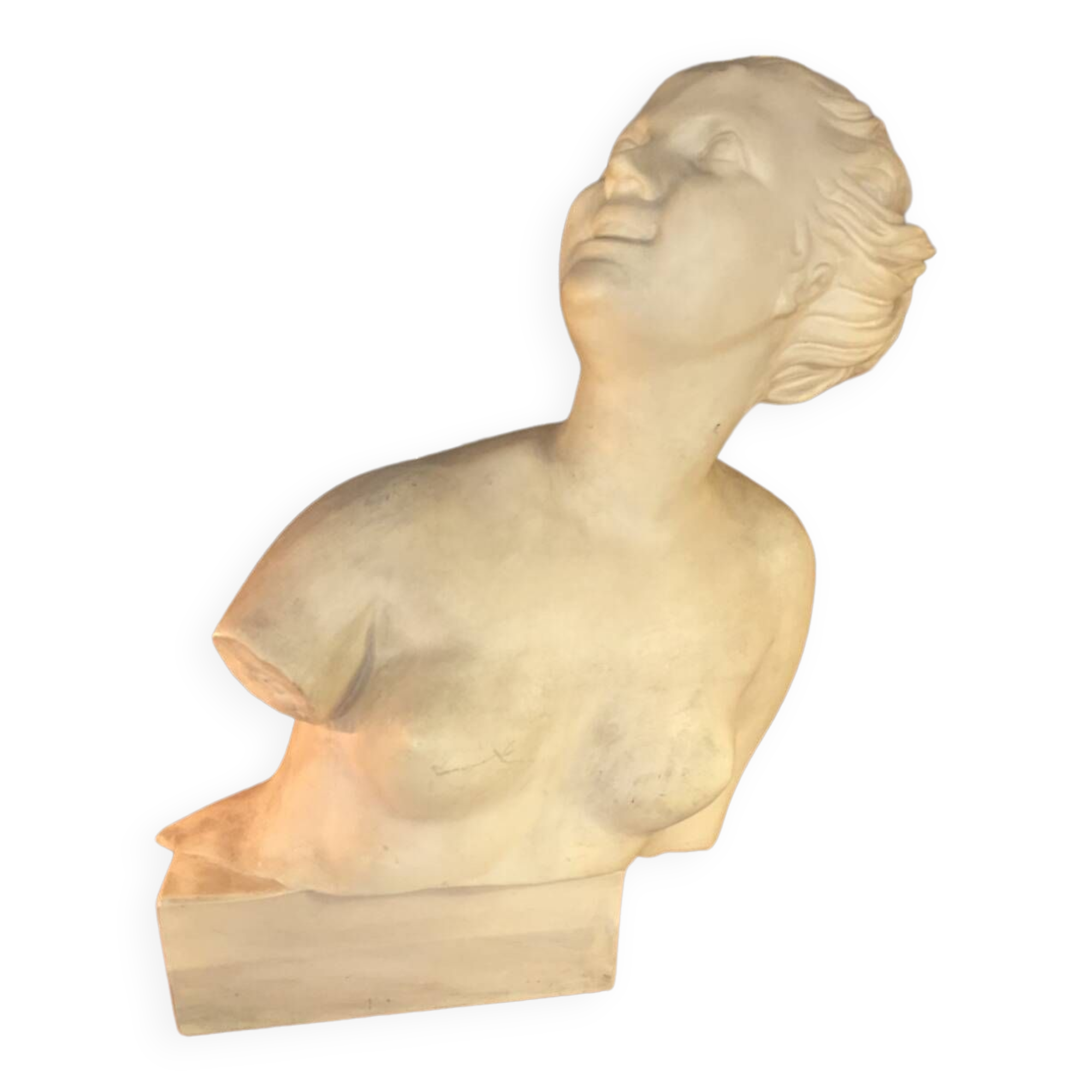 Plaster bust