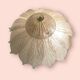 Large Venetian Murano Glass Flushmount 1970’s