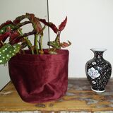 vase