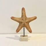 XXL Vintage Natural Starfish on Marble Base Cabinet of Curiosities