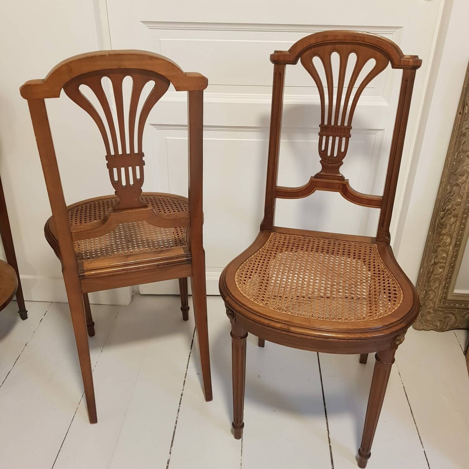 Louis XVI cane chairs