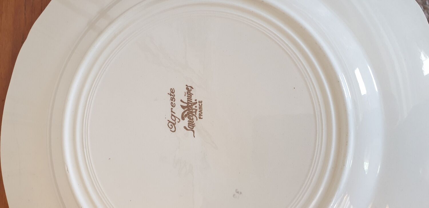 Dish Agreste Sarreguemines