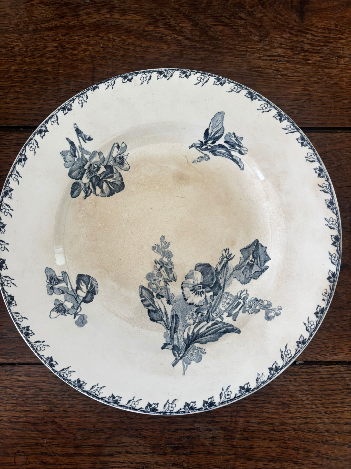 Antique plate from Sarreguemines Stella