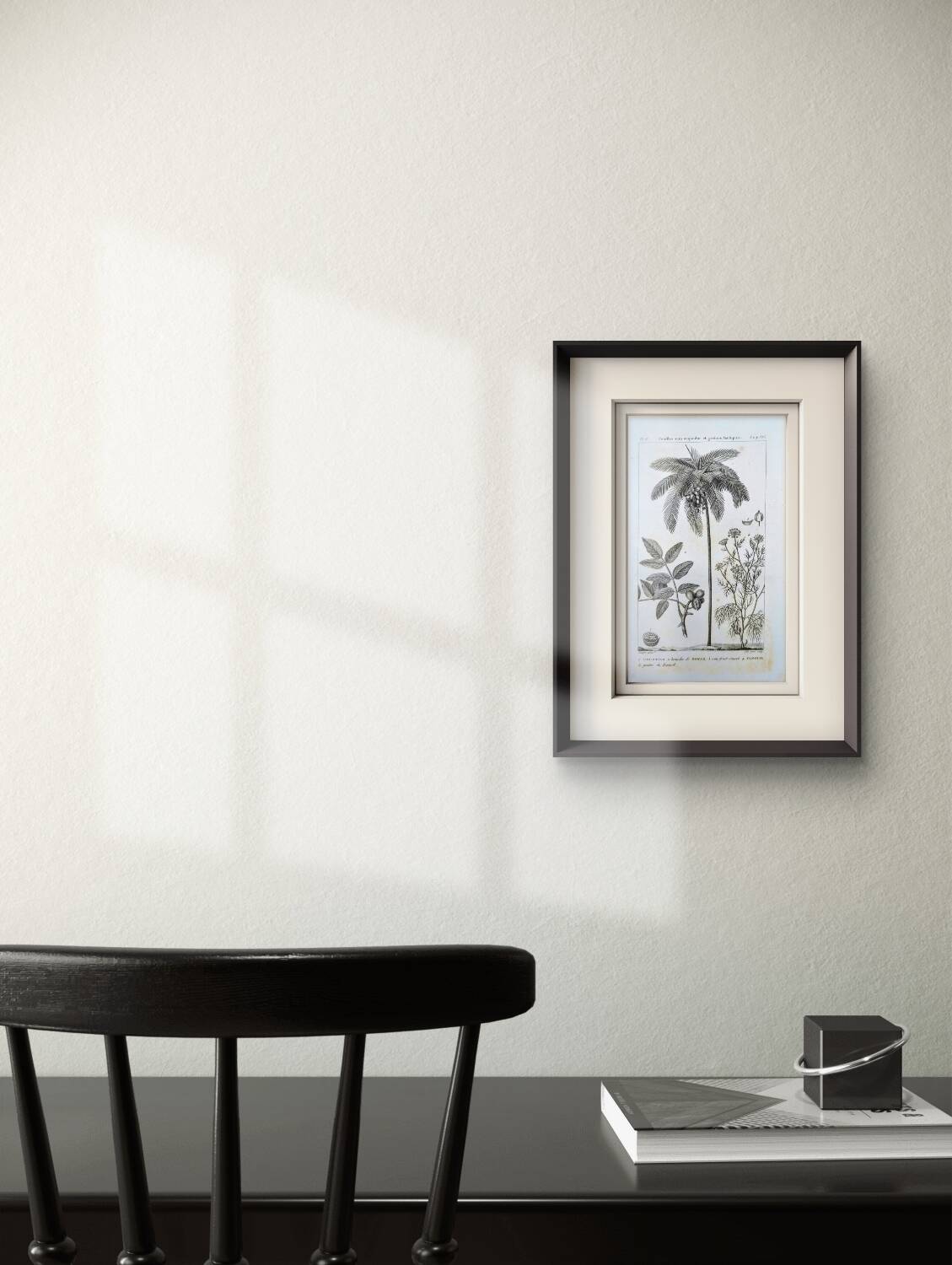 Printed in 1818, coconut tree, walnut and fennel. By Saint-Pierre.