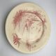 6 flat plates views of shabby pink orient