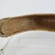 Old chistera, large glove, 62cm, Basque Country, cesta punta, jai alai
