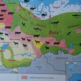 Old MDI map China - USSR