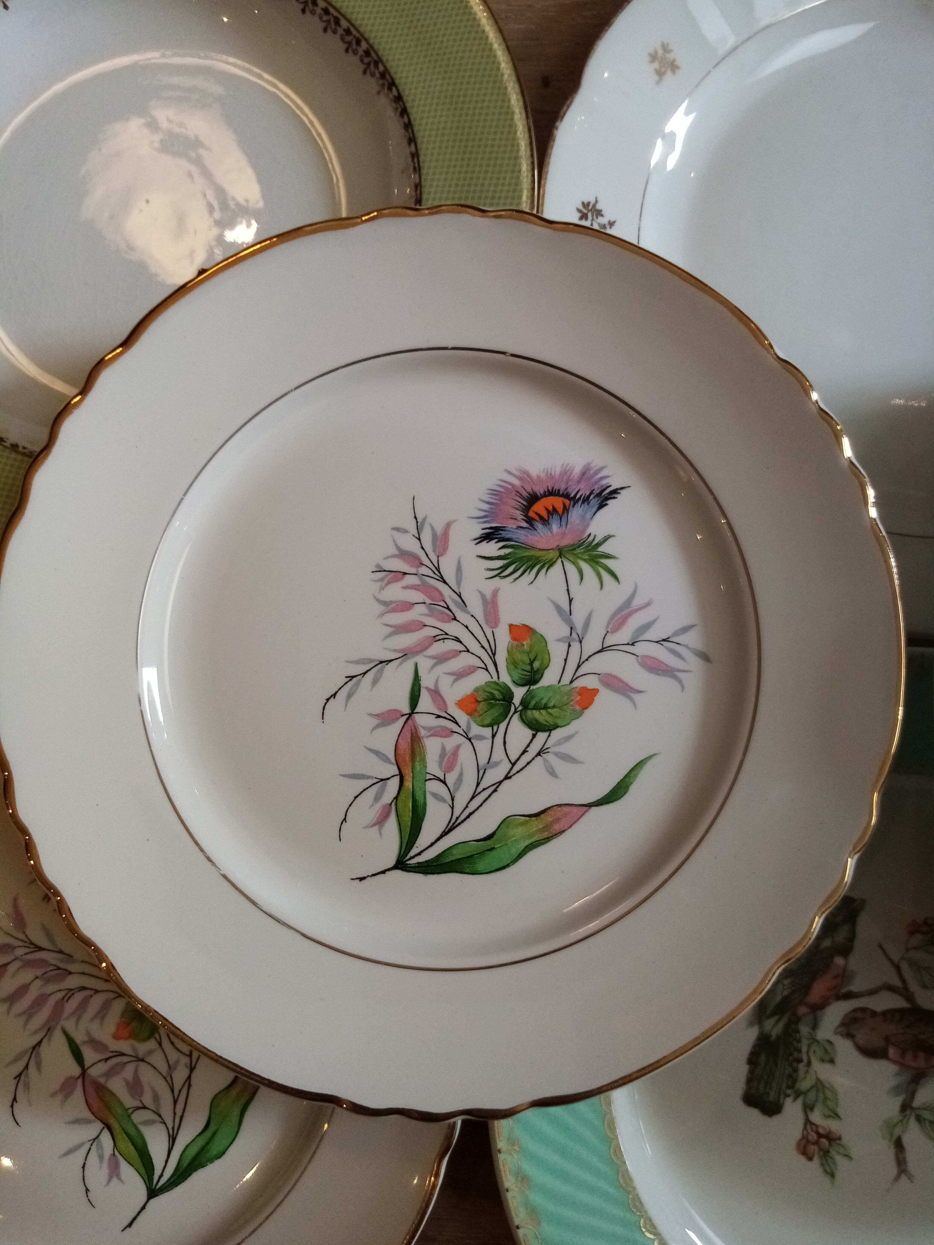 Vintage mismatched plates