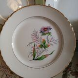 Vintage mismatched plates