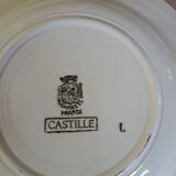 10 Digoin and Sarreguemines soup plates