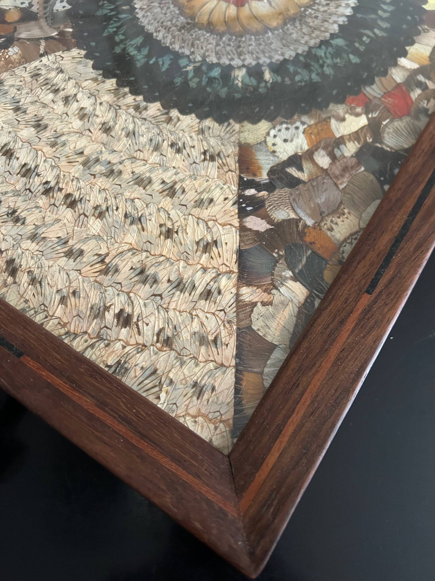 Plateau en bois et décor ailes de papillons
