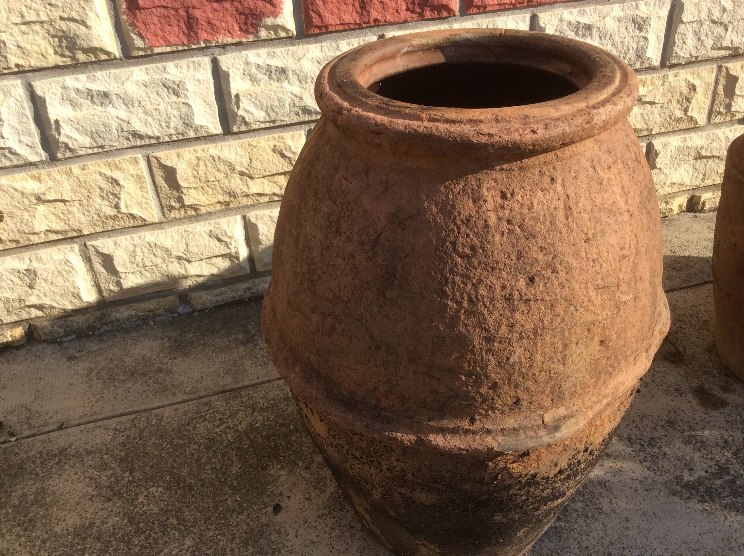 Ancient Orcio dà olio italiano