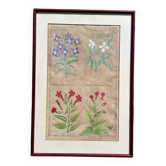 Gravure XVIIème originale sur cuivre, dessinée et gravée par Sweert