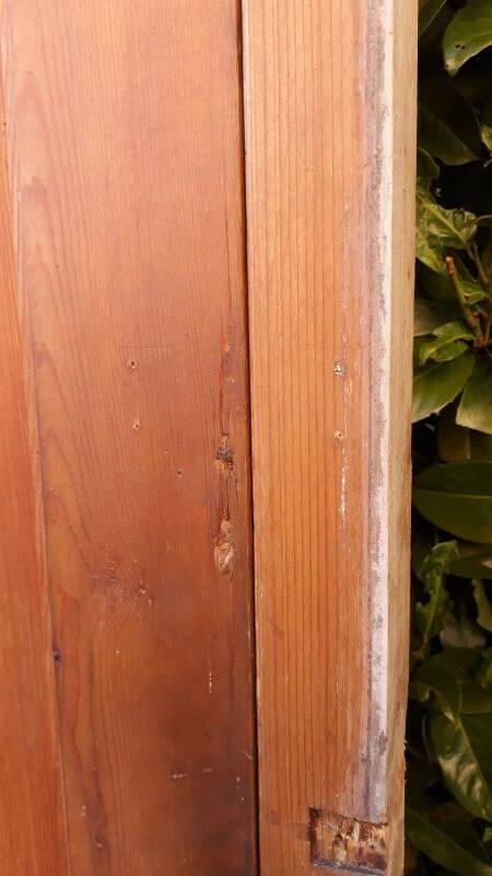 Front door and its frame, translucent glass windows, early 20th century