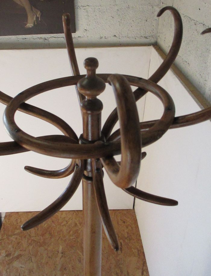 Fishel bistro parrot