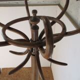 Fishel bistro parrot