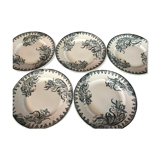 Flat plates earth of iron iris
