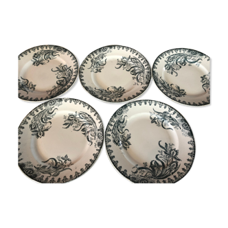 Flat plates earth of iron iris