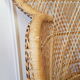 Emmanuelle armchair
