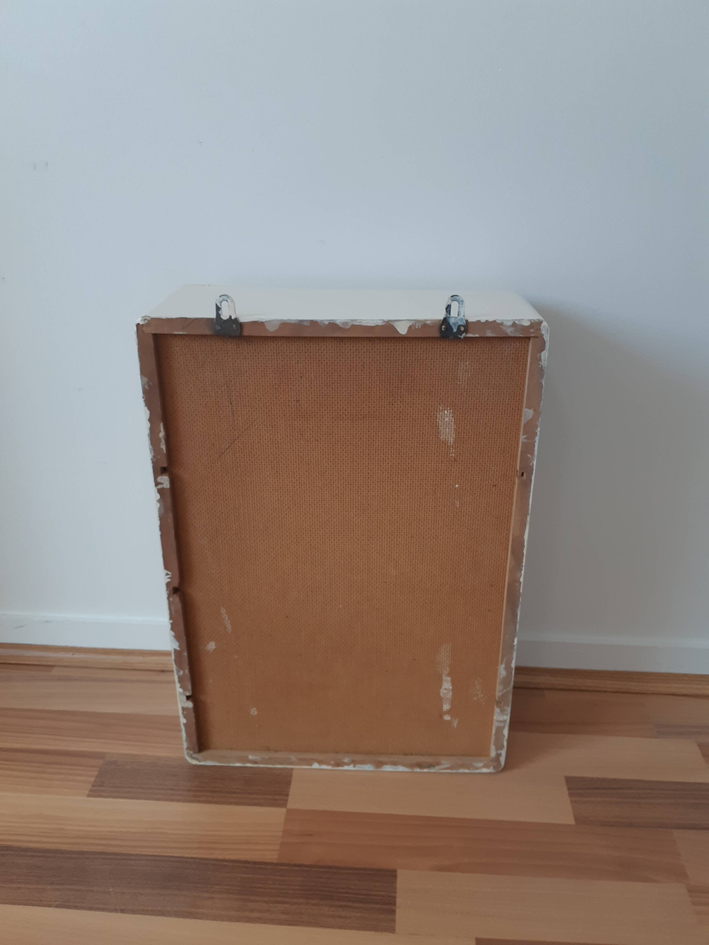 Toilet cabinet or medicine cabinet, vintage, with mirror, squirrel