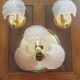 Rare set of wall sconces and shell ceiling light.