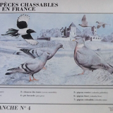 Poster by Michel Michel Cambrony