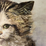 Cat portrait