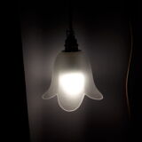 Tulip glass hanging lamp