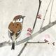 Small Japanese painting birds and cherry blossom Okada vintage old watercolor