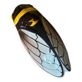 Cicada wall vase