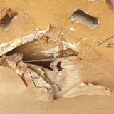 Mirror Regency Parecloses Golden